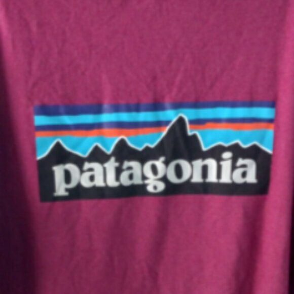 Patagonia Men’s T-Shirt Sz XL Red Purple Logo Graphic Print Short Sleeve Cotton - Picture 4 of 9